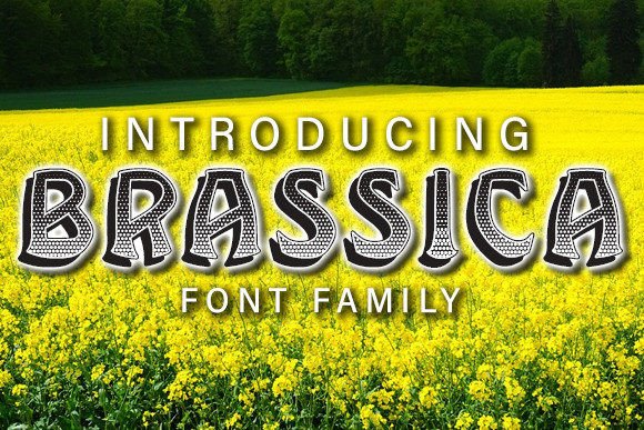 Brassica: The Extravagant Display Font for Bold Designs