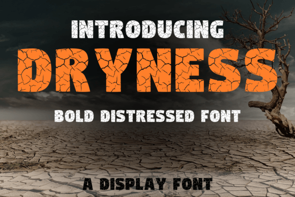 Dryness: A Display Font for Bold, Unforgettable Branding