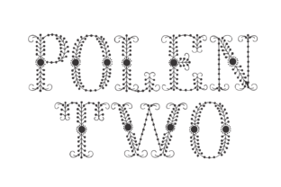 Polen Two: The Soft, Unusual Display Font for Headlines